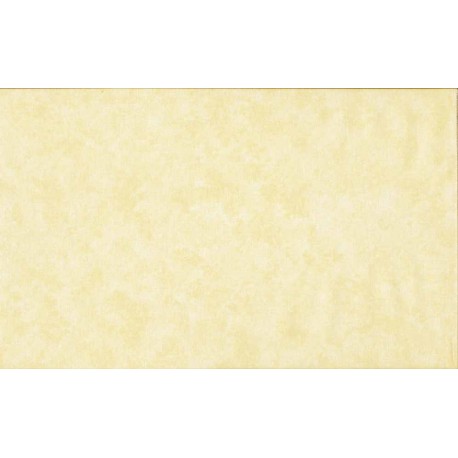 Spraytime - Light Cream (Réf. 2800Q03) (Par 10 cm - Quantité min. 3)