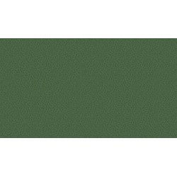 Bijoux Arrow Evergreen (Par 10 cm - Quantité min. 3)