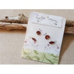 The Bee Company : boutons coccinelles