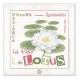 Lilipoints - Le Lotus